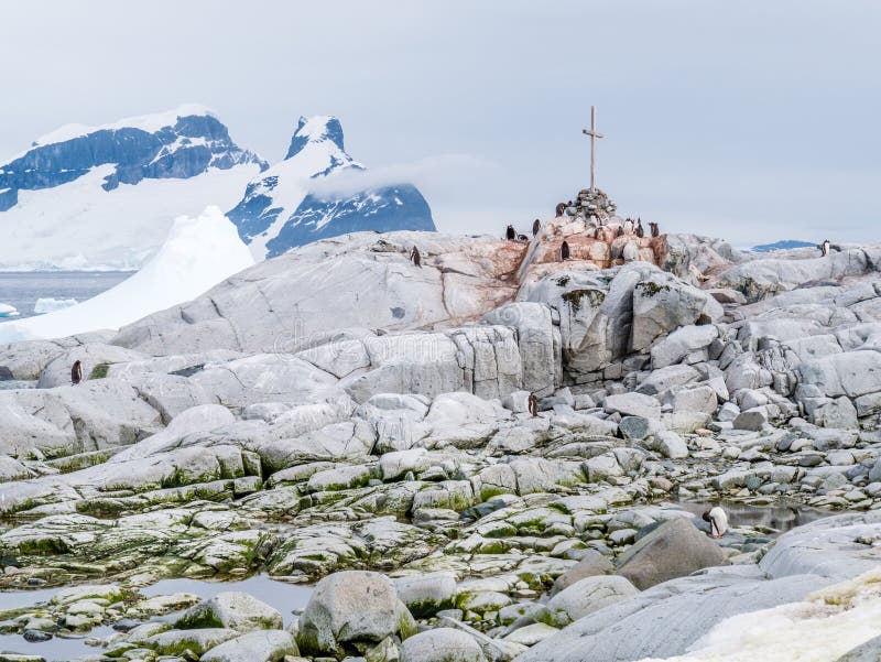 Gentoo penguins and commemoration cross for British Antarctic Survey, Petermann Island, Antarctic Peninsula, Antarctica