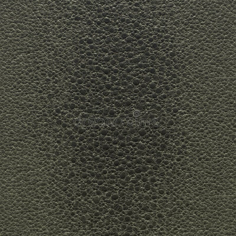 Genuine Frog Skin. the Textured Background of the Frog Skin is Close