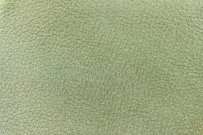 Genuine Leather Texture, Light Green Color. Spring Shopping ...