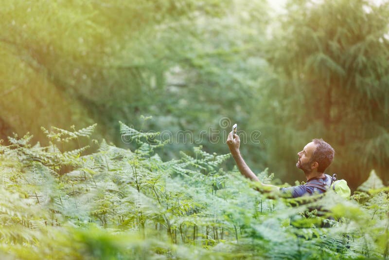 Geocaching στο ηλιοφώτιστο δάσος στοκ φωτογραφίες με δικαίωμα ελεύθερης χρήσης Geocaching στο ηλιοφώτιστο δάσος στοκ φωτογραφίες με δικαίωμα ελεύθερης χρήσης