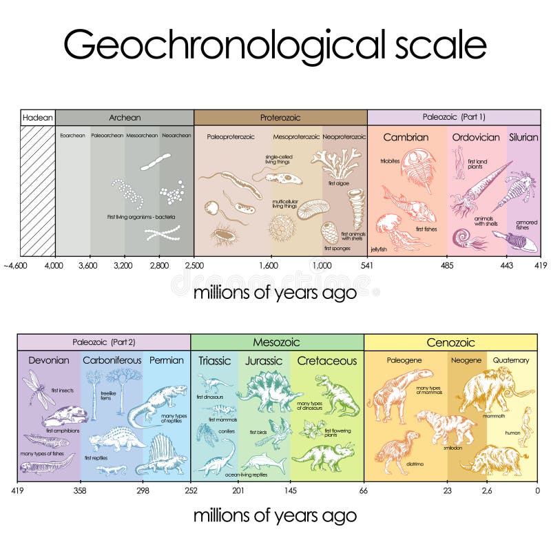 Geochronological scale vector illustration Geochronological scale vector illustration