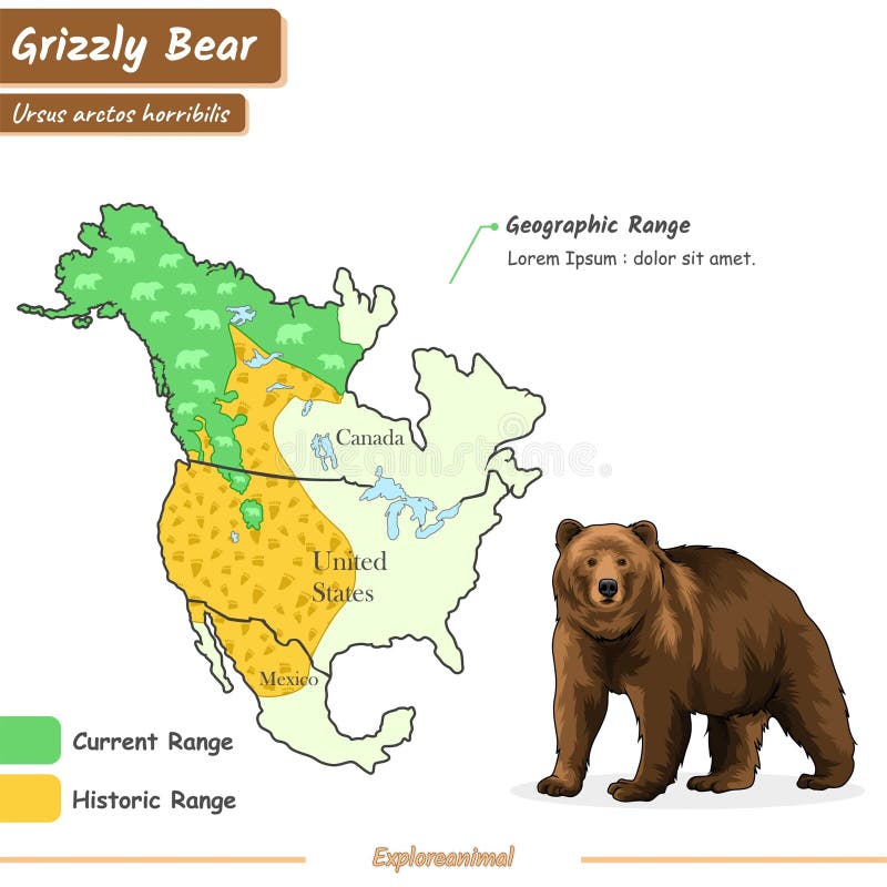 Geographic Range of Grizzly Bears Stock Vector Illustration of