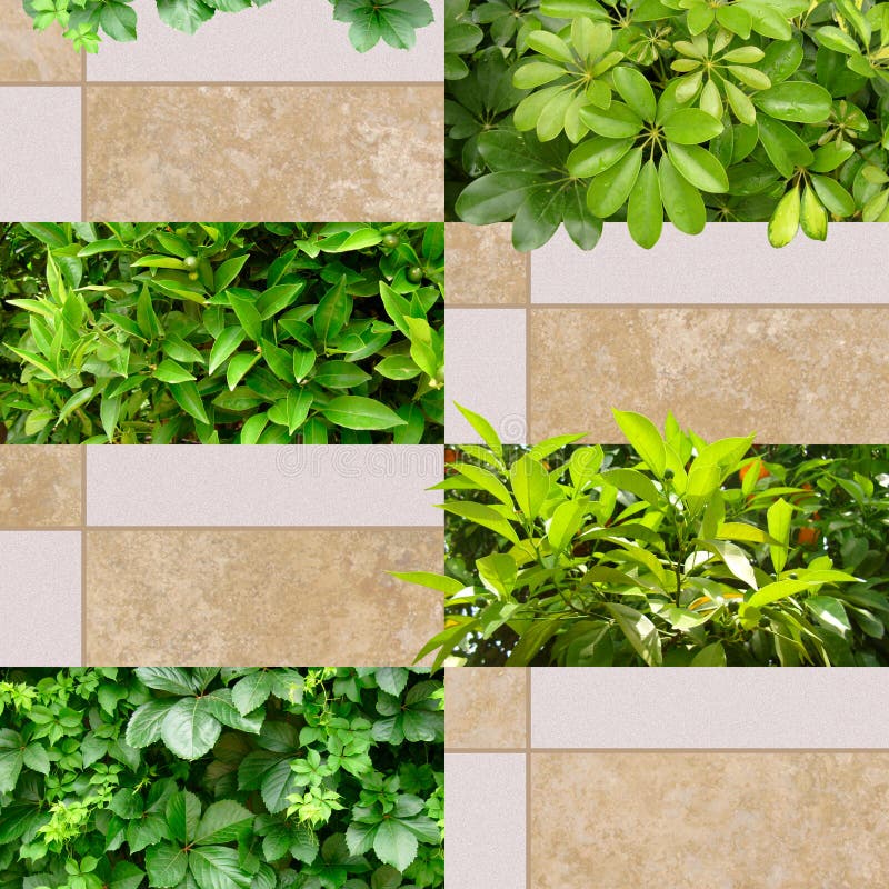 Geometric seamless pattern for wallpaper or textiles. Bricks, tropical trees and leaves of mandarins. Beige color and sand texture stock images Geometric seamless pattern for wallpaper or textiles. Bricks, tropical trees and leaves of mandarins. Beige color and sand texture stock images