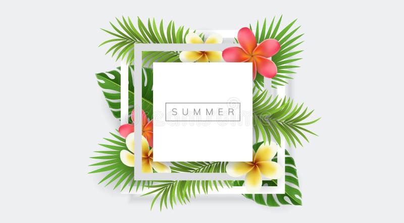 Geometric square frame with palm leaf and exotic flower for summer vector illustration