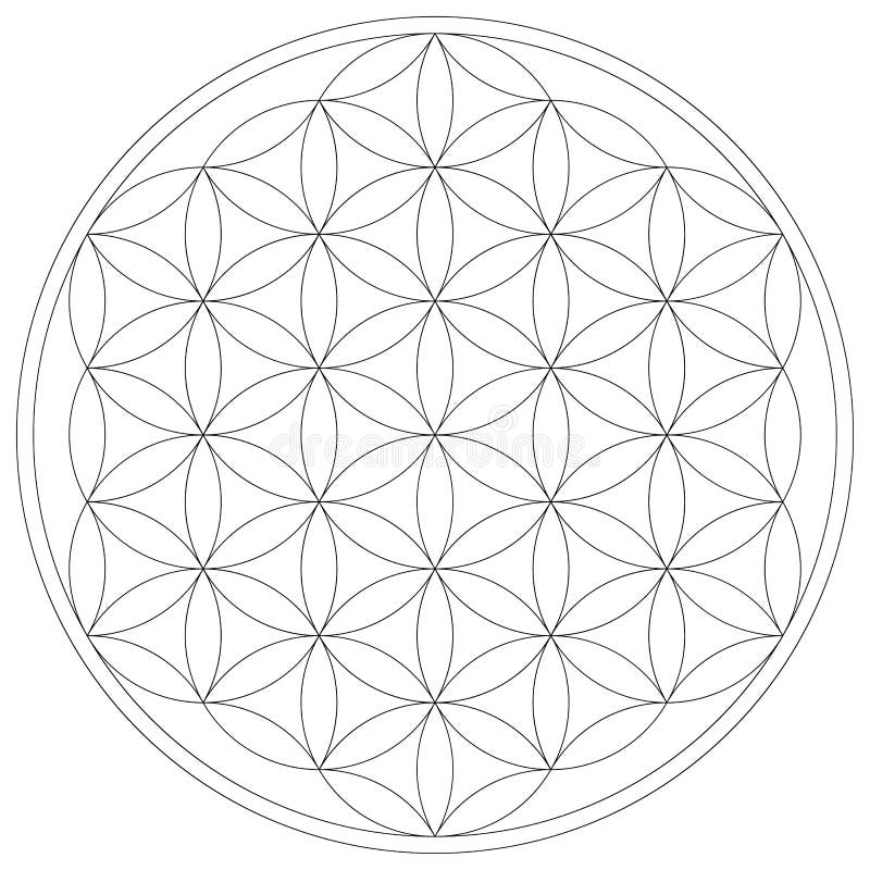 Geometrical figure. Sacred Geometry Flower of Life vector illustration