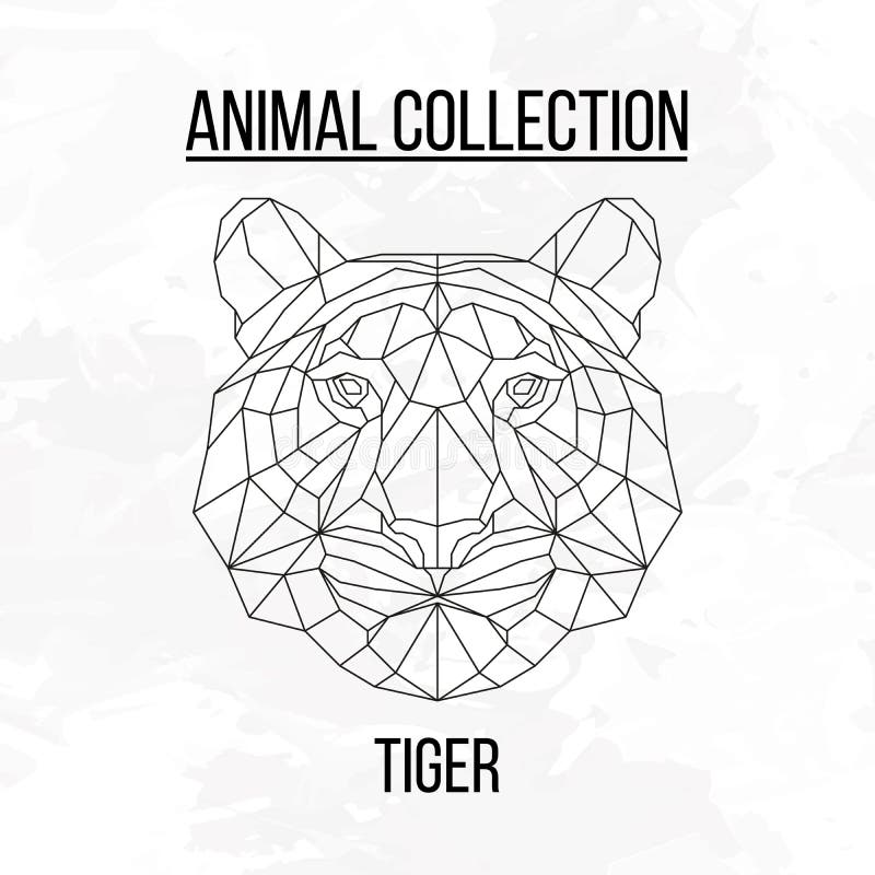 Geometriskt tigerhuvud royaltyfri illustrationer Geometriskt tigerhuvud royaltyfri illustrationer