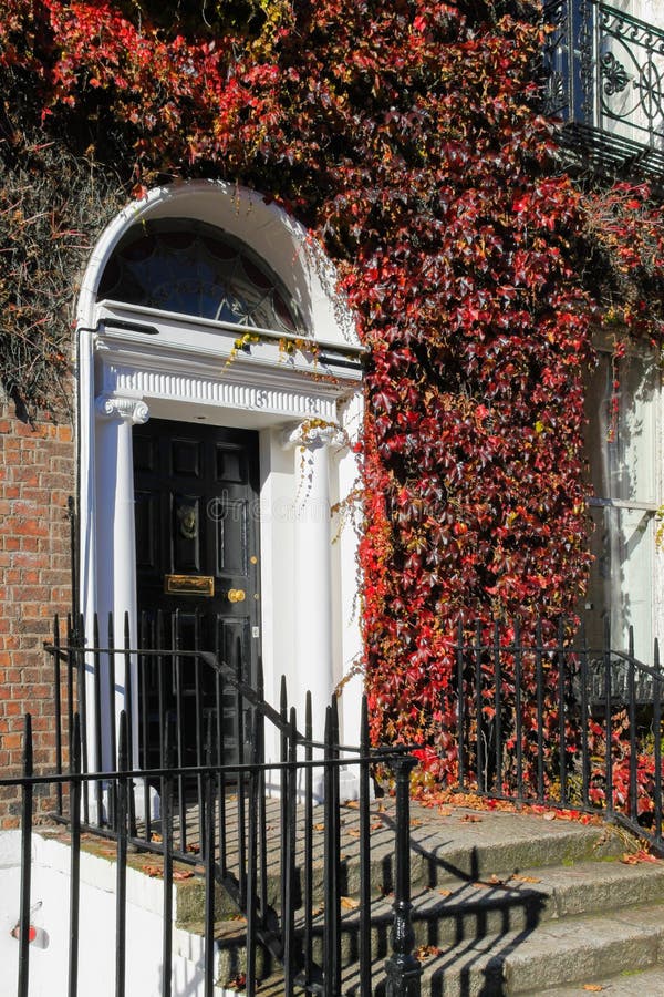 Georgian door surrounded by ivy. Dublin . Ireland