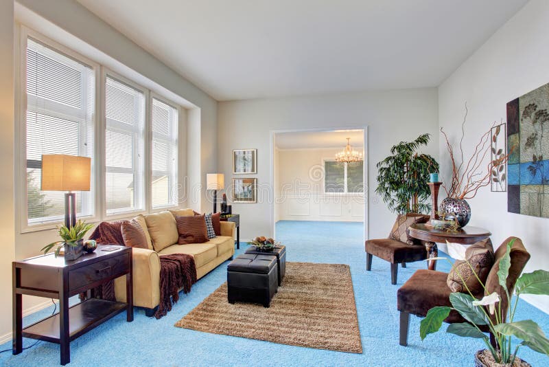 light blue carpet living room ideas
