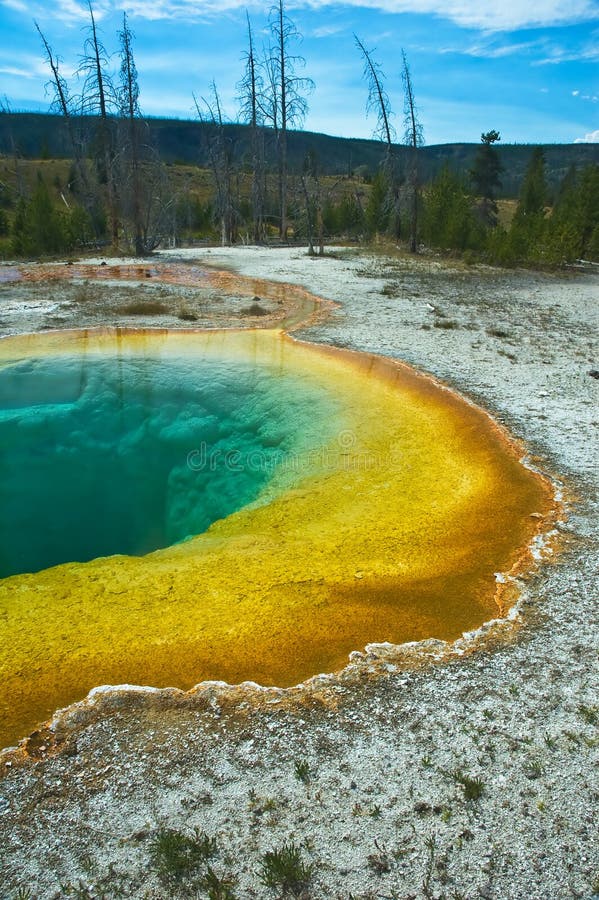 Geotermisk pöl yellowstone royaltyfria foton