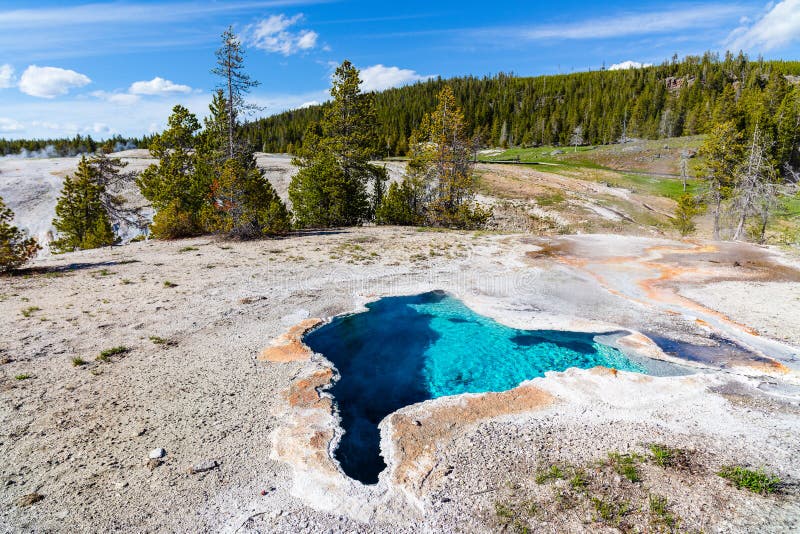 Geotermiska pooler och varmfjädrar i naturparken i gulstolpe arkivbild