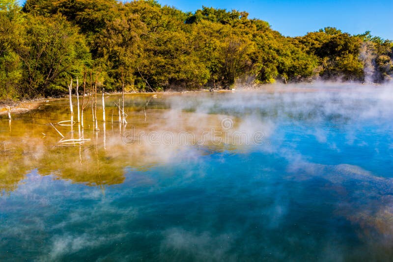 Kuirau Park, Rotorua. Geothermal activity showing sulphur and dead trees. Kuirau park is a few minutes walk from the centre f Rotorua stock photos Kuirau Park, Rotorua. Geothermal activity showing sulphur and dead trees. Kuirau park is a few minutes walk from the centre f Rotorua stock photos