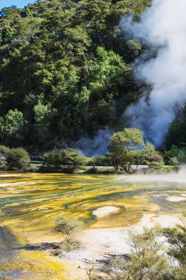 Geothermal Activitywaimangu Rotorua New Zealand Stock Image Image