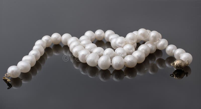 Geparelde Parelhalsband royalty-vrije stock afbeeldingen Geparelde Parelhalsband royalty-vrije stock afbeeldingen