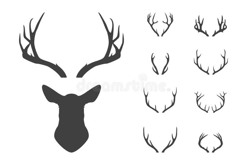Geplaatst hertens hoofd en geweitakken royalty-vrije illustratie Geplaatst hertens hoofd en geweitakken royalty-vrije illustratie
