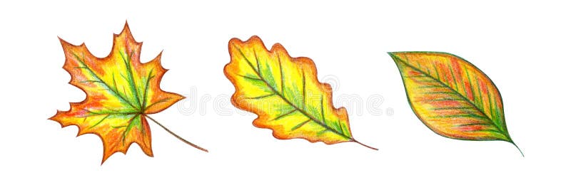 Geplaatste de Bladeren van de herfst vector illustratie Geplaatste de Bladeren van de herfst vector illustratie