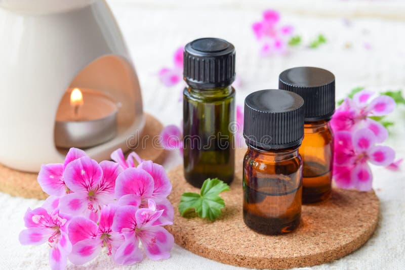 Geranium essential oils for aromatherapy treatment at beauty salon, with geranium flower and aroma burner. Geranium essential oils for aromatherapy treatment at beauty salon, with geranium flower and aroma burner