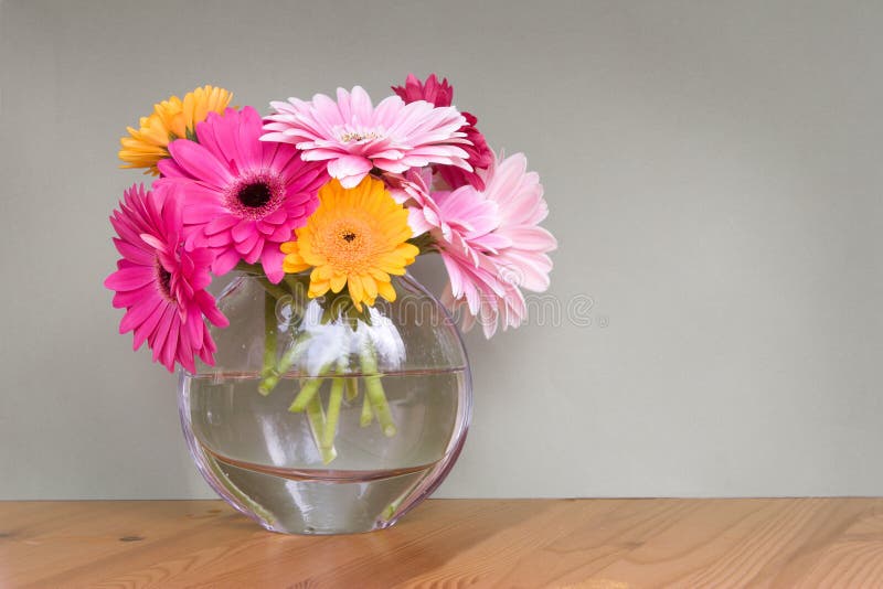 Gerber Daisies In A Vase Picture. Image 5214747