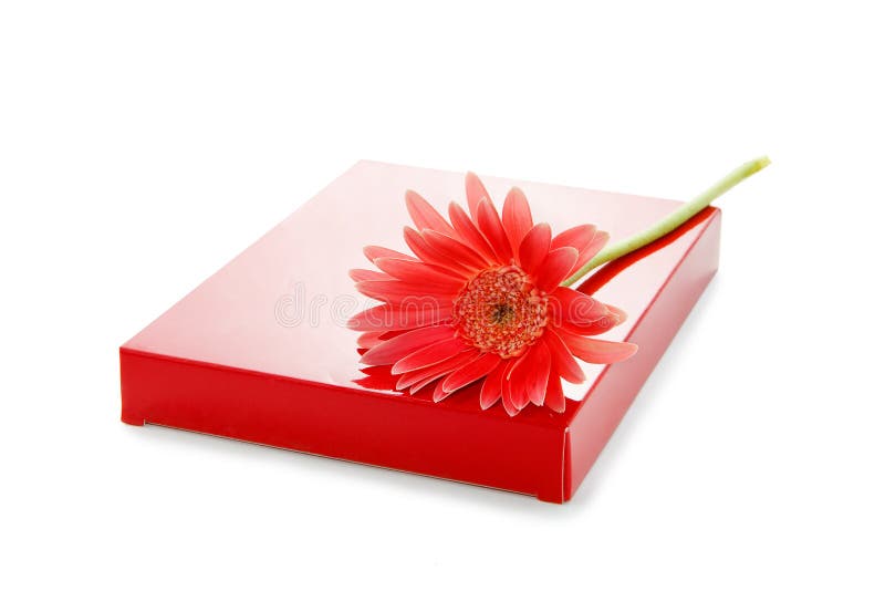 Gerber flower and red gift box