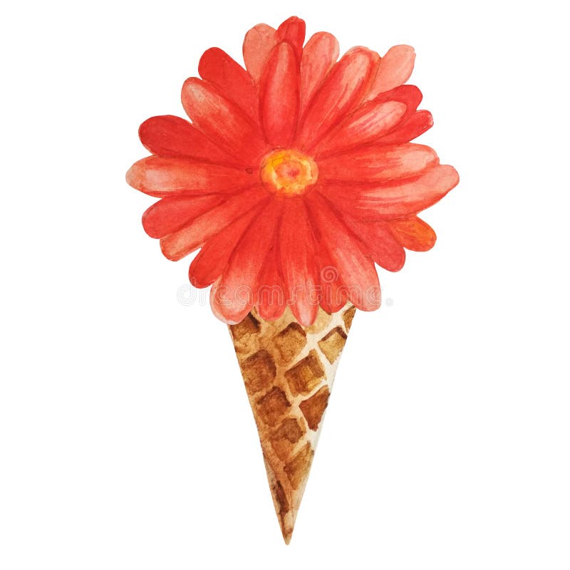 Gerbera alaranjado da aquarela em um cone do waffle ilustração do vetor Gerbera alaranjado da aquarela em um cone do waffle ilustração do vetor