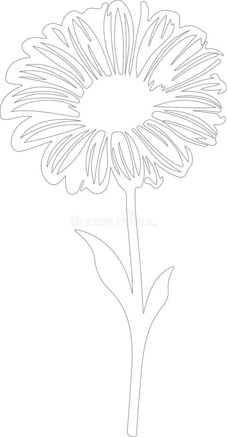 Gerbera daisy profilo silhouette generative ai illustrazione di stock