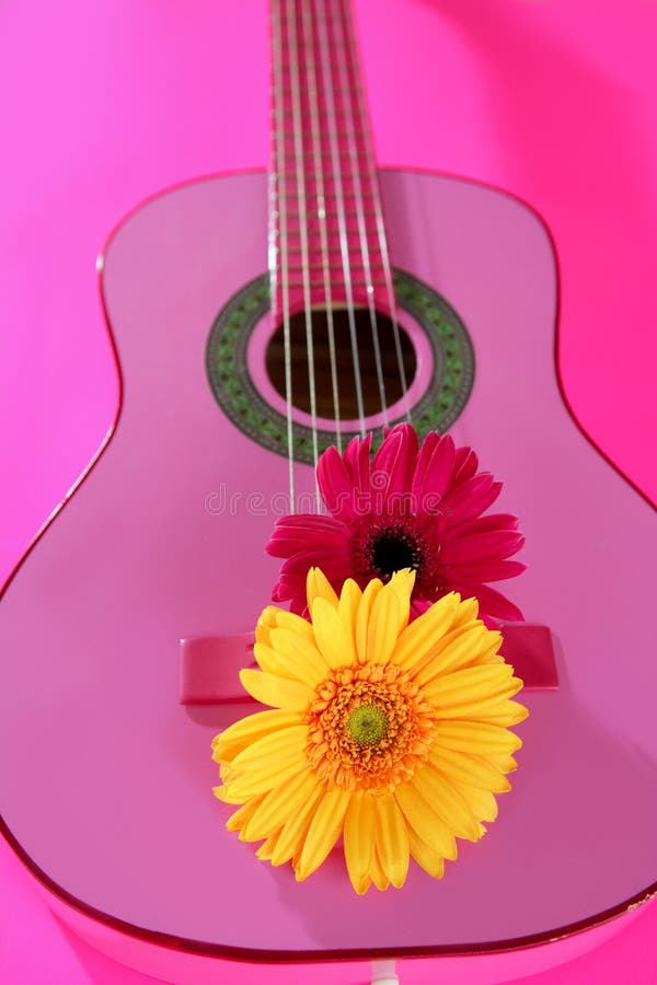 Gerbera di colore rosa di colore giallo del fiore del Hippie sulla chitarra fotografie stock Gerbera di colore rosa di colore giallo del fiore del Hippie sulla chitarra fotografie stock