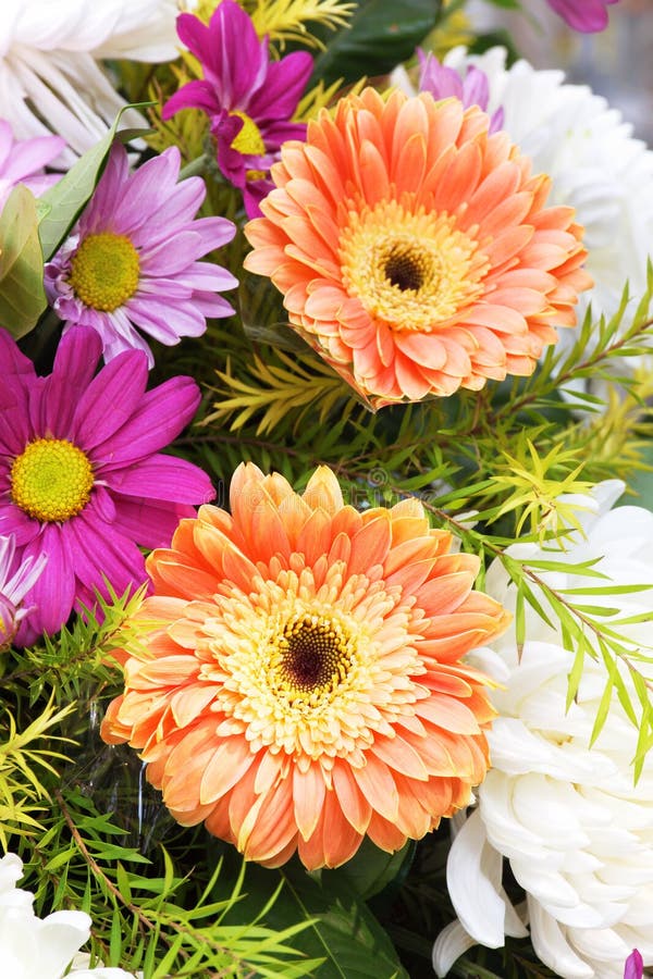 Gerbera et marguerite un bouquet des fleurs photo stock Gerbera et marguerite un bouquet des fleurs photo stock