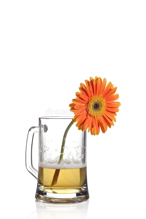 Gerbera flower in a mug