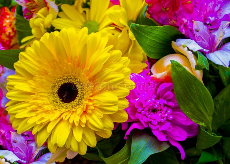 Gerbera le bouquet du gerbera de roses de fleurs fleurit des oeillets image libre de droits Gerbera le bouquet du gerbera de roses de fleurs fleurit des oeillets image libre de droits