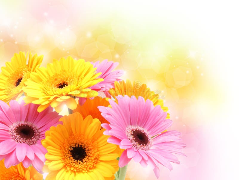 Gerberagänseblümchen auf sparkly Pastellhintergrund lizenzfreie stockfotografie Gerberagänseblümchen auf sparkly Pastellhintergrund lizenzfreie stockfotografie
