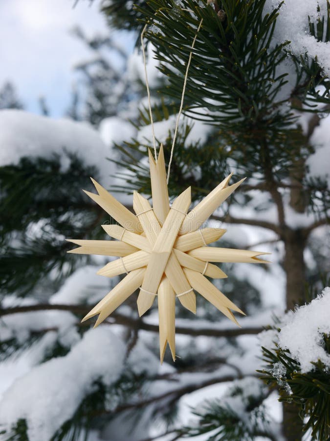 German Christmas Tree with Homemade Ornaments Stock Image Image of