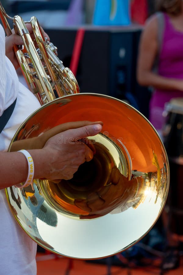 French Horn Instrument. Hand Playing Horn Player Stock Image Image of