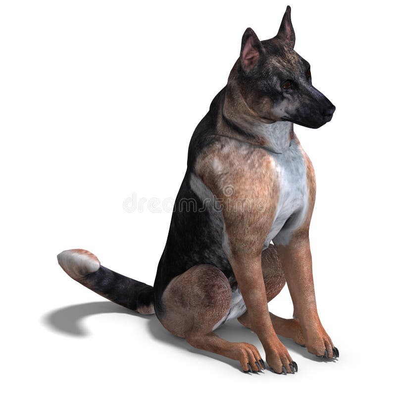 German Shepherd Dog