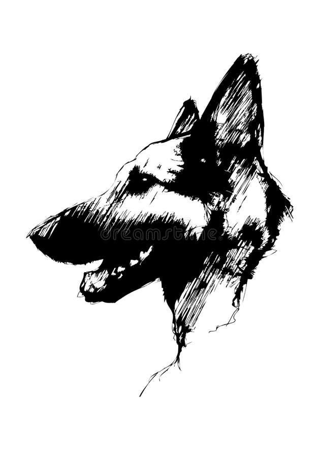 German shepherd dog stock illustration German shepherd dog stock illustration