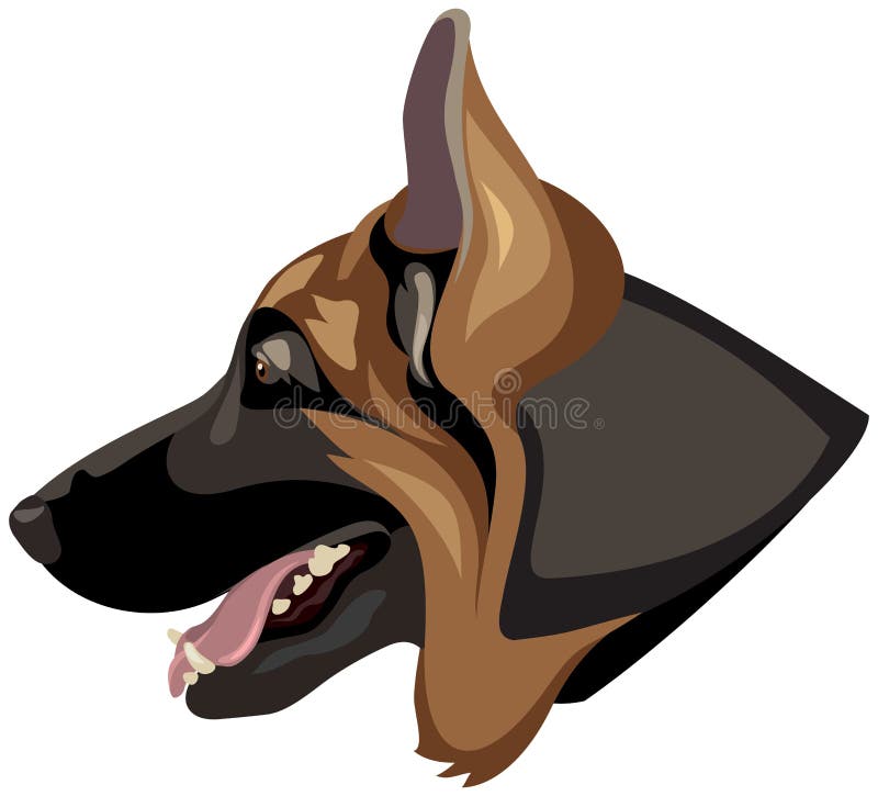 German Shepherd dog head profile color vector