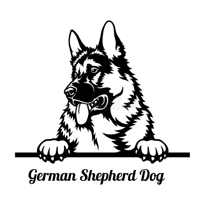 German Shepherd Dog Peeking Dog - Head Isolated on White Stock Vector ...