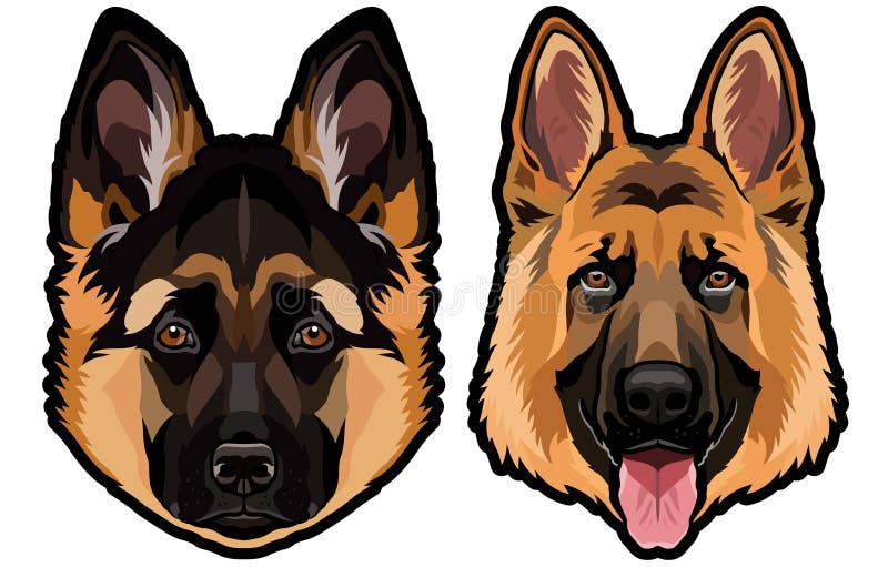 German shepherd dog portrait colored vector illustration royalty free illustration