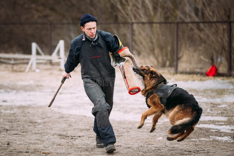 dog muzzle for biting for german shepard dog muzzle for biting for german shepard