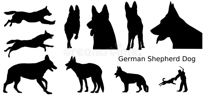 German Shepherd Dogs stock vector. Illustration of obedient - 9020013
