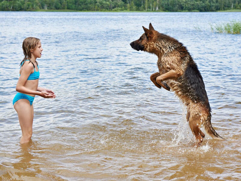 German shepherd and girl playing in lake