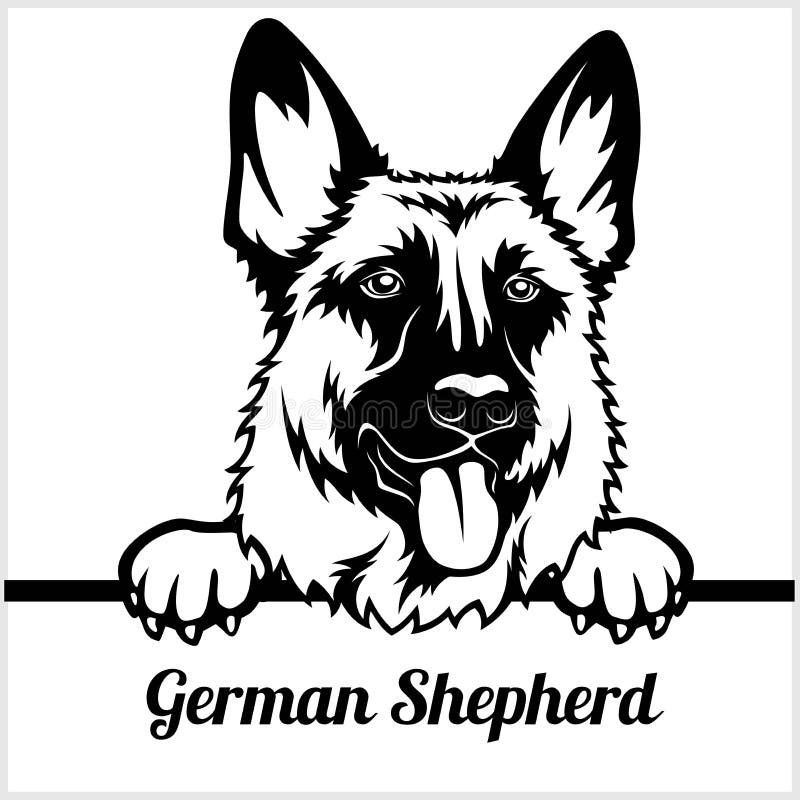 German Shepherd - Peeking Dogs - - breed face head isolated on white royalty free illustration German Shepherd - Peeking Dogs - - breed face head isolated on white royalty free illustration
