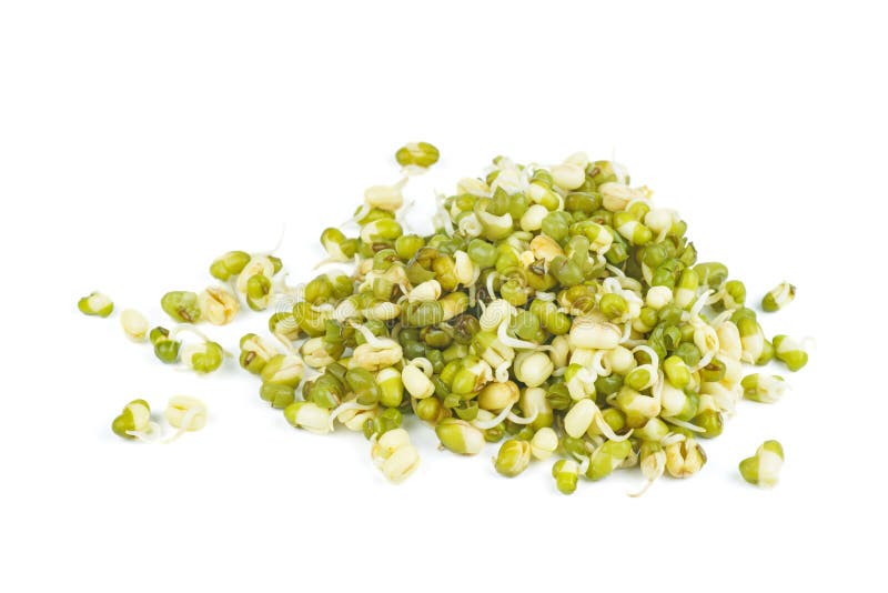 Germinated seeds of mung bean isolated on a white stock photos