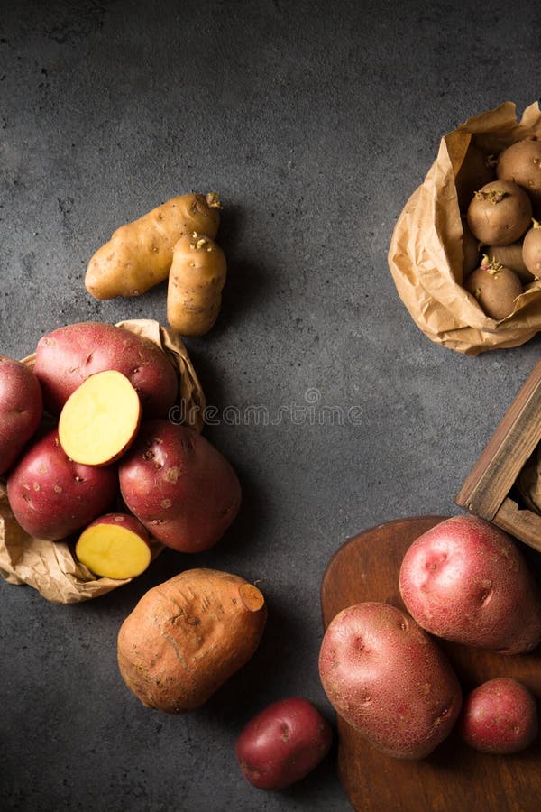 Germination of Sprouts on Potatoes, Top View Stock Image Image of