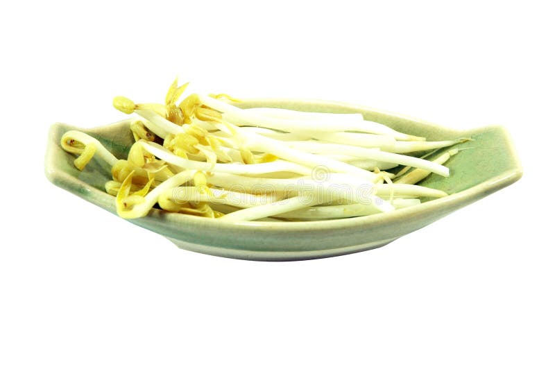 Germogli di fagiolo immagine stock libera da diritti Germogli di fagiolo immagine stock libera da diritti