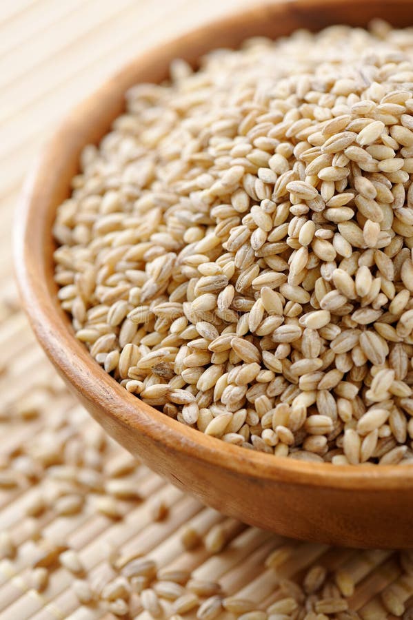 Gerst stock afbeeldingen