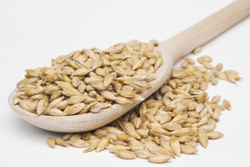 Gerst met een houten lepel royalty-vrije stock foto