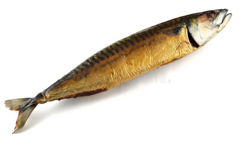 Geräucherte Fische getrennt auf Weiß lizenzfreie stockbilder Geräucherte Fische getrennt auf Weiß lizenzfreie stockbilder