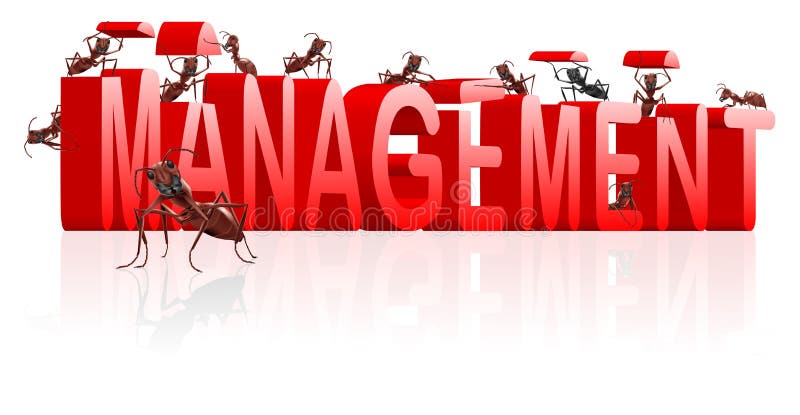 Gestão gere organização organiza ilustração royalty free