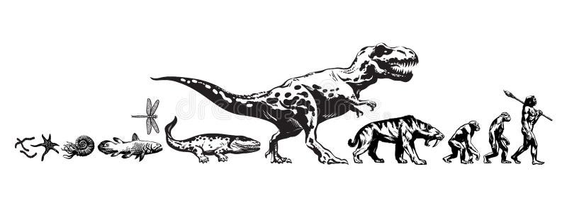 Geschiedenis van het leven ter wereld Chronologie van evolutie van voorhistorische dieren, dinosaurus, sabel getande tijger, aap vector illustratie Geschiedenis van het leven ter wereld Chronologie van evolutie van voorhistorische dieren, dinosaurus, sabel getande tijger, aap vector illustratie