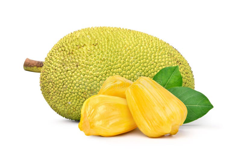 Peeled and unpeeled of jackfruit with green leaves isolated on white background. Peeled and unpeeled of jackfruit with green leaves isolated on white background