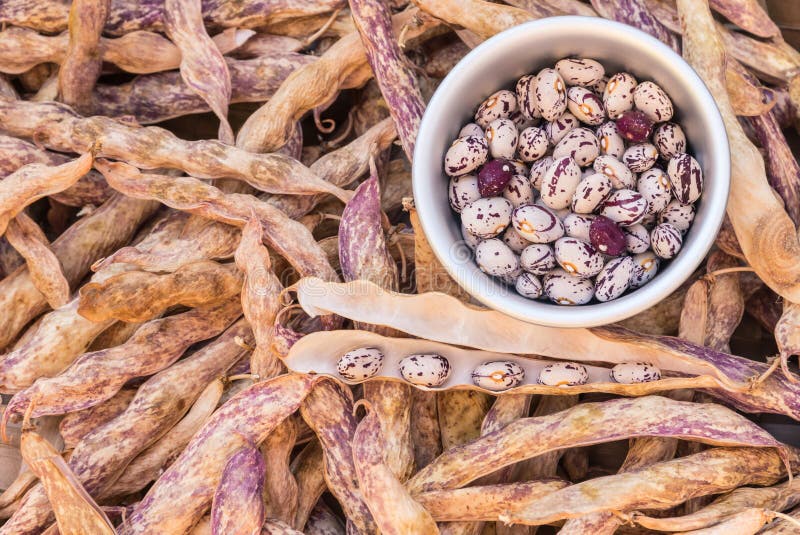 Geschilde en unshelled snijbonen royalty-vrije stock afbeeldingen